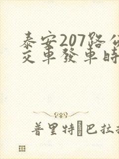 泰安207路公交车发车时间表