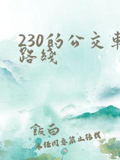 230的公交车路线