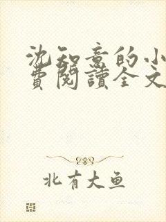 沈知意的小说免费阅读全文