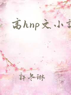 高hnp文小说