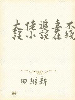 大佬追妻不择手段小说在线阅读