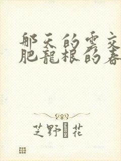 那天的云交雨合肥龙根的春天 那天的云交雨合肥龙根的春天