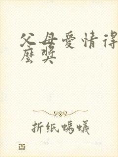 父母爱情得过什么奖 父母爱情得过什么奖