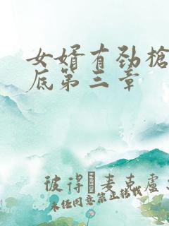 女婿有劲枪枪到底第三章