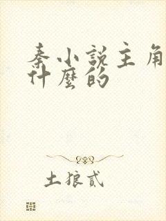 秦小说主角叫秦什么的