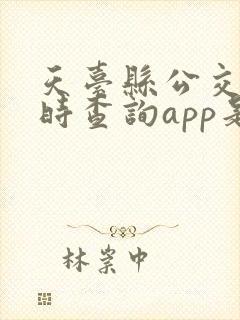 天台县公交车实时查询app是什么