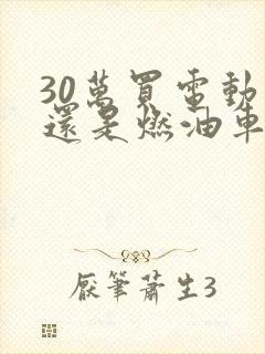 30万买电动车还是燃油车好