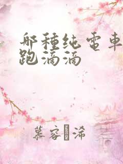 哪种纯电车可以跑滴滴