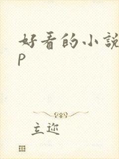 好看的小说app