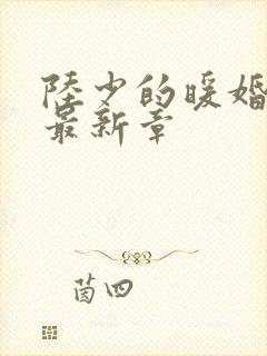 陆少的暖婚新妻最新章