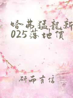 哈弗猛龙新款2025落地价 哈弗猛龙新款2025落地价