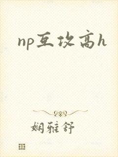 np互攻高h