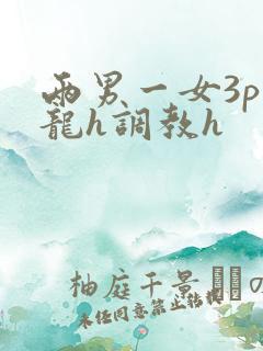 两男一女3p双龙h调教h