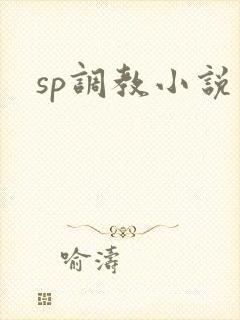 sp调教小说