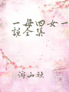 一母四女一婿小说全集