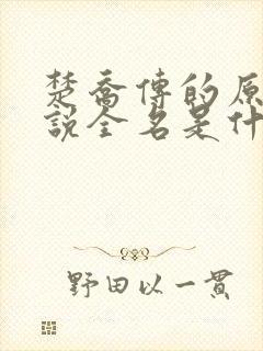 楚乔传的原著小说全名是什么啊