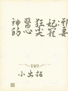 神医狂妃:邪王的心尖宠妻 落喵喵
