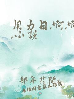 用力日,啊,啊,小说