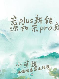 宋plus新能源和宋pro新能源区别