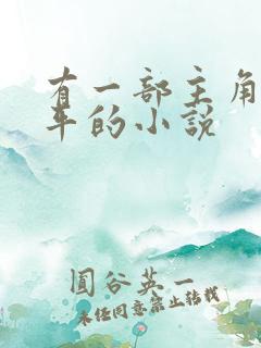 有一部主角叫陈平的小说