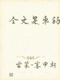 全文是车的小说
