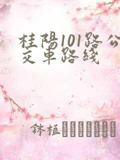 桂阳101路公交车路线