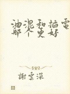 油混和插电混得哪个更好