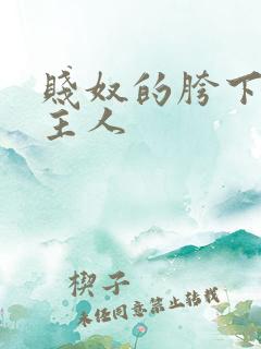 贱奴的胯下伺候主人