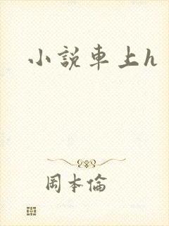 小说车上h