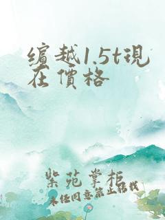 缤越1.5t现在价格