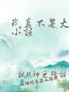 我真不是大佬的小说 我真不是大佬的小说