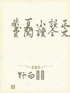 藏夏小说正版免费阅读全文无弹窗