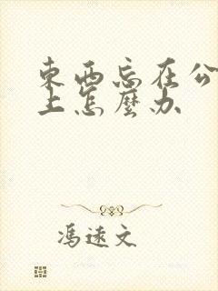 东西忘在公交车上怎么办 东西忘在公交车上怎么办