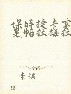 保时捷卡宴好还是帕拉梅拉好