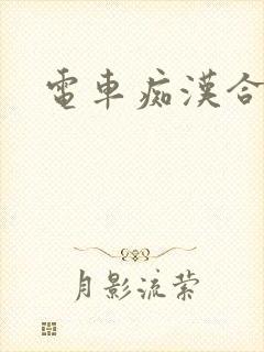 电车痴汉合集 电车痴汉合集