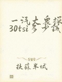 一汽大众探岳330tsi多少钱