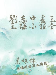 刘志中卢玉清卢玉梅小说全文免费阅