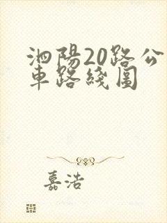 泗阳20路公交车路线图