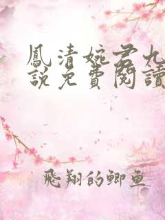 凤清婉君九渊小说免费阅读最新章节