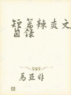 短篇辣爽文合集目录
