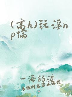 (高h)玩淫np伦