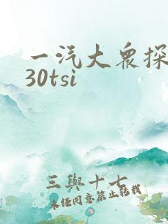 一汽大众探岳330tsi