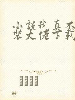 小说我真不是女装大佬下载