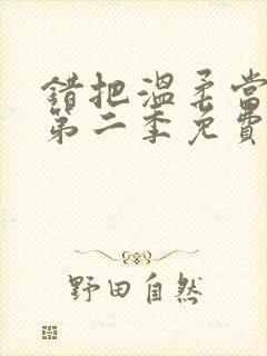 错把温柔当情深第二季免费观看 错把温柔当情深第二季免费观看