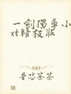 一剑独尊小说txt精校版
