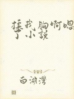 揉我胸啊嗯出奶了小说