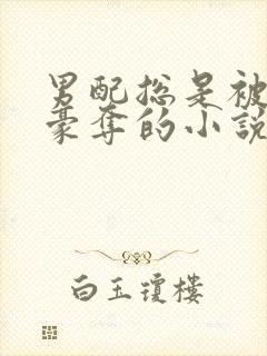 男配总是被强取豪夺的小说免费阅读