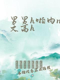 男男h啪肉np文高h