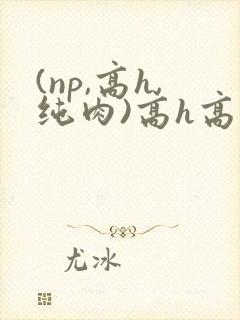 (np,高h,纯肉)高h高辣文