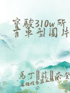 宝骏310w所有车型图片价格